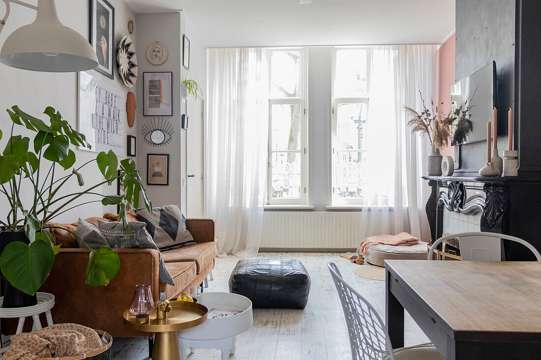 Living room with leather sofa, houseplant and decoration