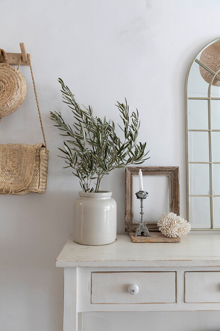 Branch of the olive tree (Olea europaea) in a vase on a white console