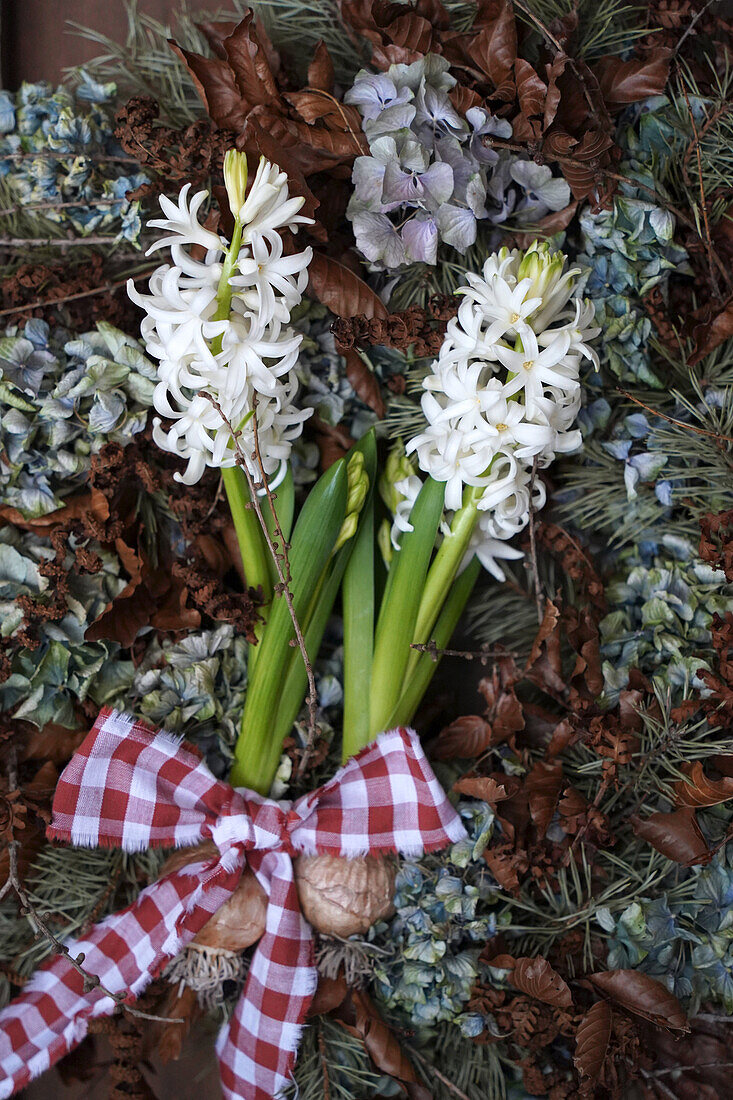 Winterkranz aus Naturmaterialien wie Lärchenzweige, Kiefernzweige, getrockneten Hortensien, Rotbuchenblätter und Farnzweige, weiße Hyazinthen (Hyacinthus) mit Knolle