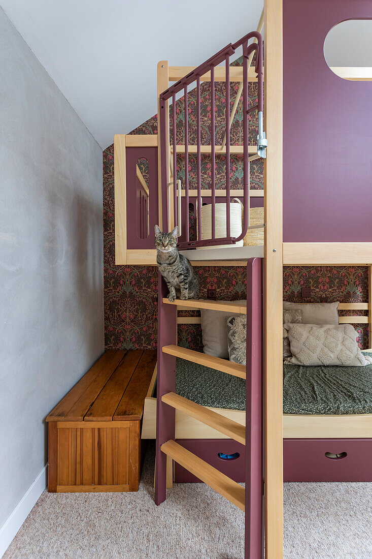 Loft bed with cat on the ladder and patterned wallpaper in the children's room