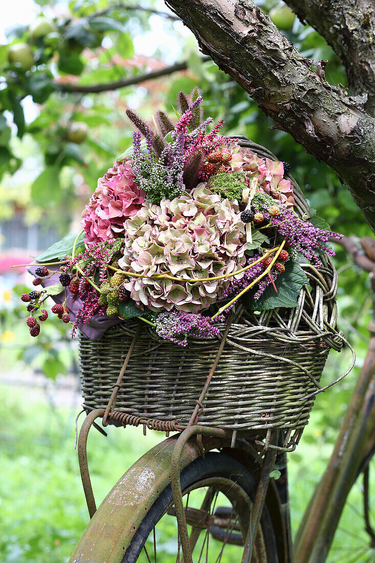 Basket with autumn bouquet on old bicycle