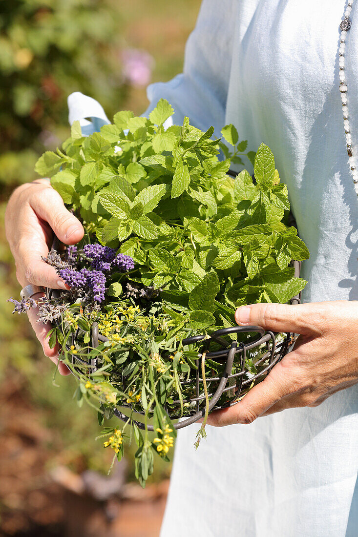 Fresh garden herbs for treating headaches