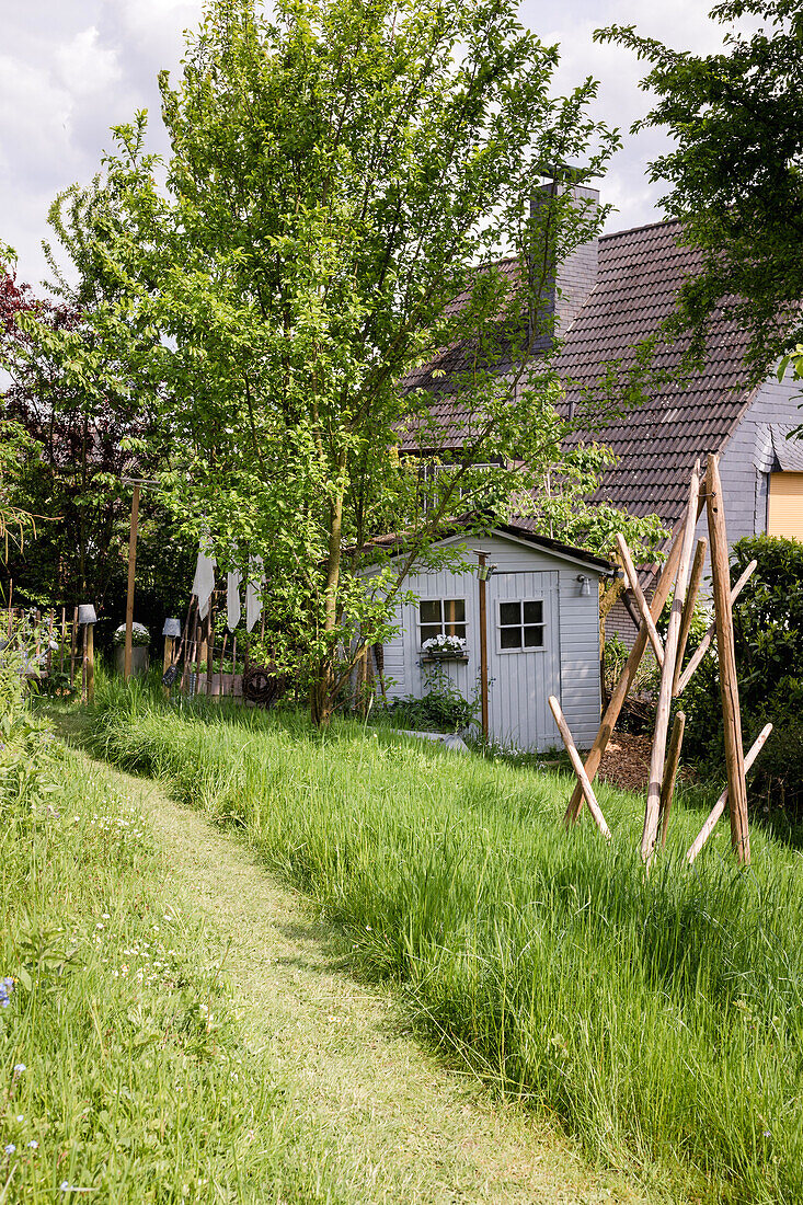 Garden shed with tall grasses and trees in the garden