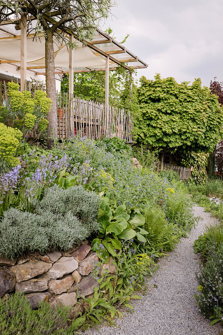 Flowering perennial garden with gravel path and pergola in spring