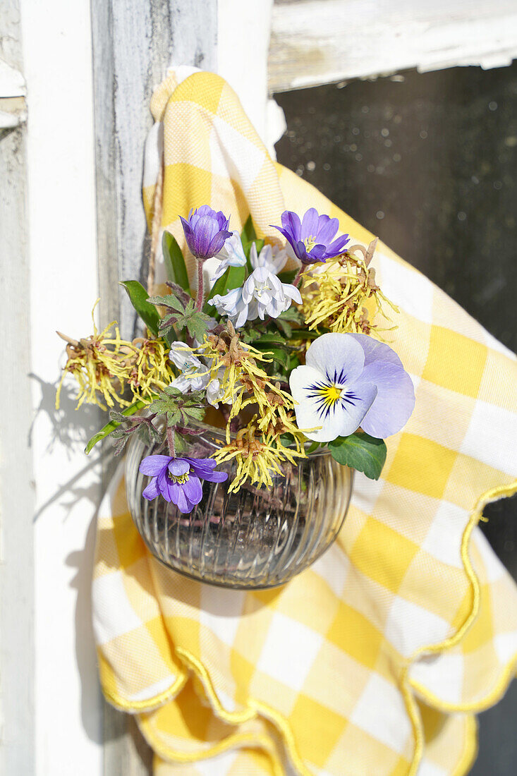 Frühlingsblumenarrangement mit Stiefmütterchen (Viola) vor einem Fensterrahmen