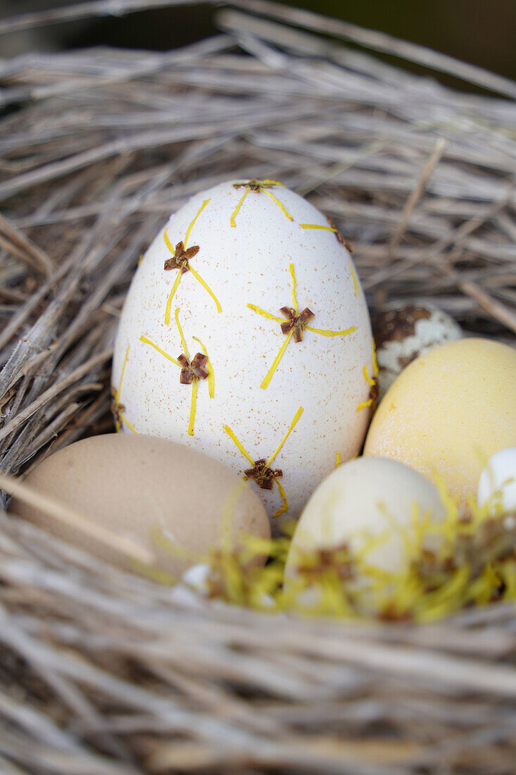 Osterei dekoriert mit Nelken in einem Nest aus Zweigen