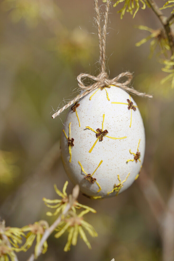 Osterdekoration: Weißes Ei mit getrockneten Blüten, aufgehängt an einem Zweig