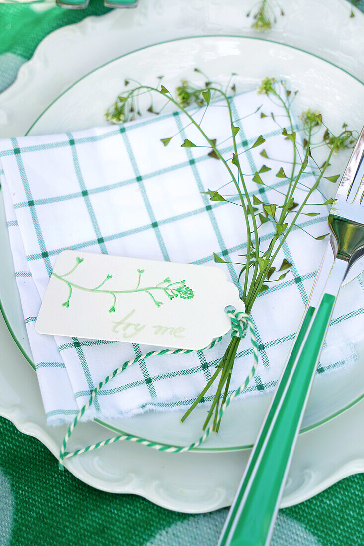 Plate with checkered cloth napkin and edible wild herbs