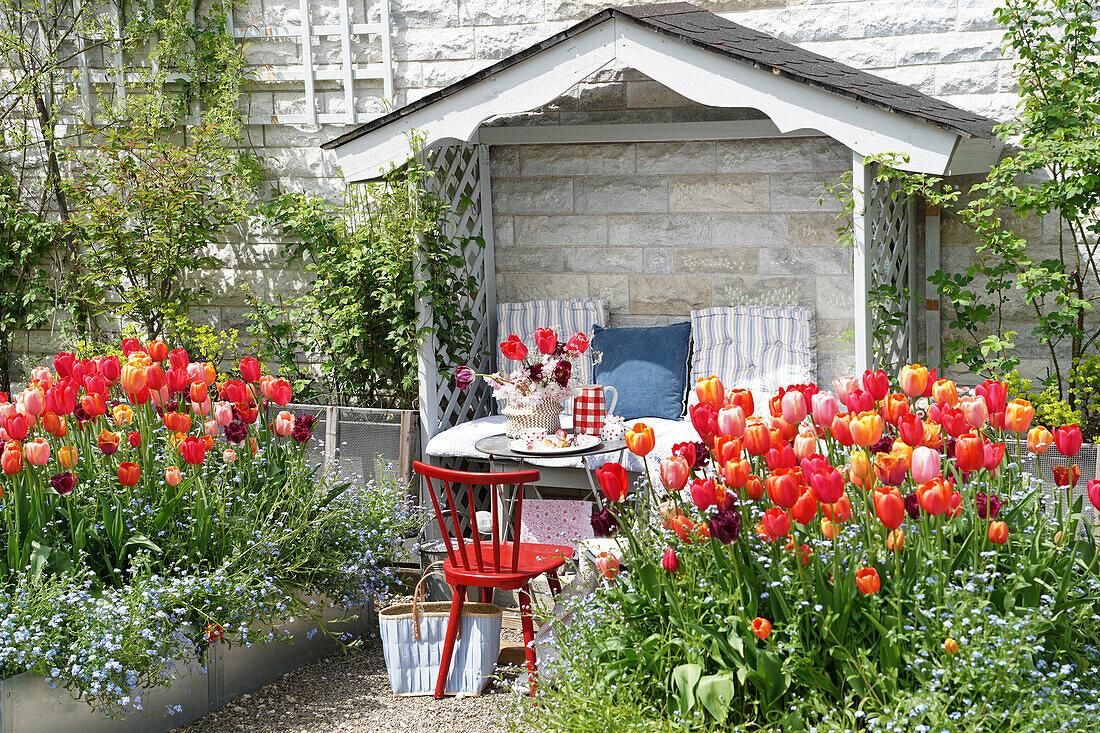 Tulpen, Vergissmeinnicht und ein gemütlicher Platz im Garten