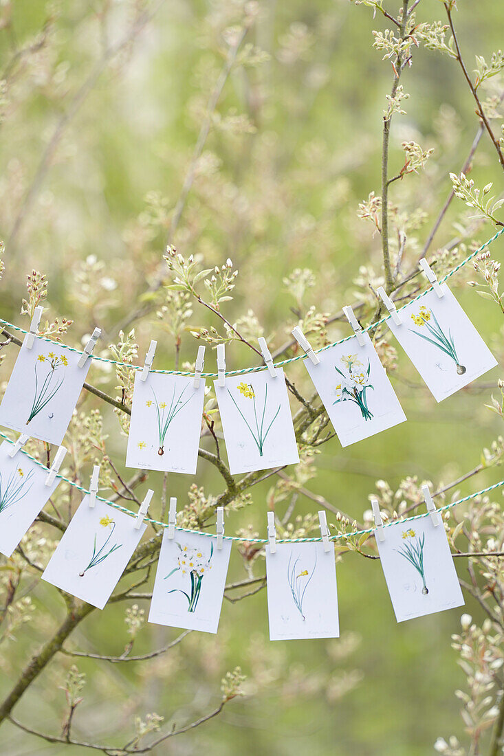 DIY-Blumenzeichnungen aufgehängt an einer Schnur im Frühlingsgarten