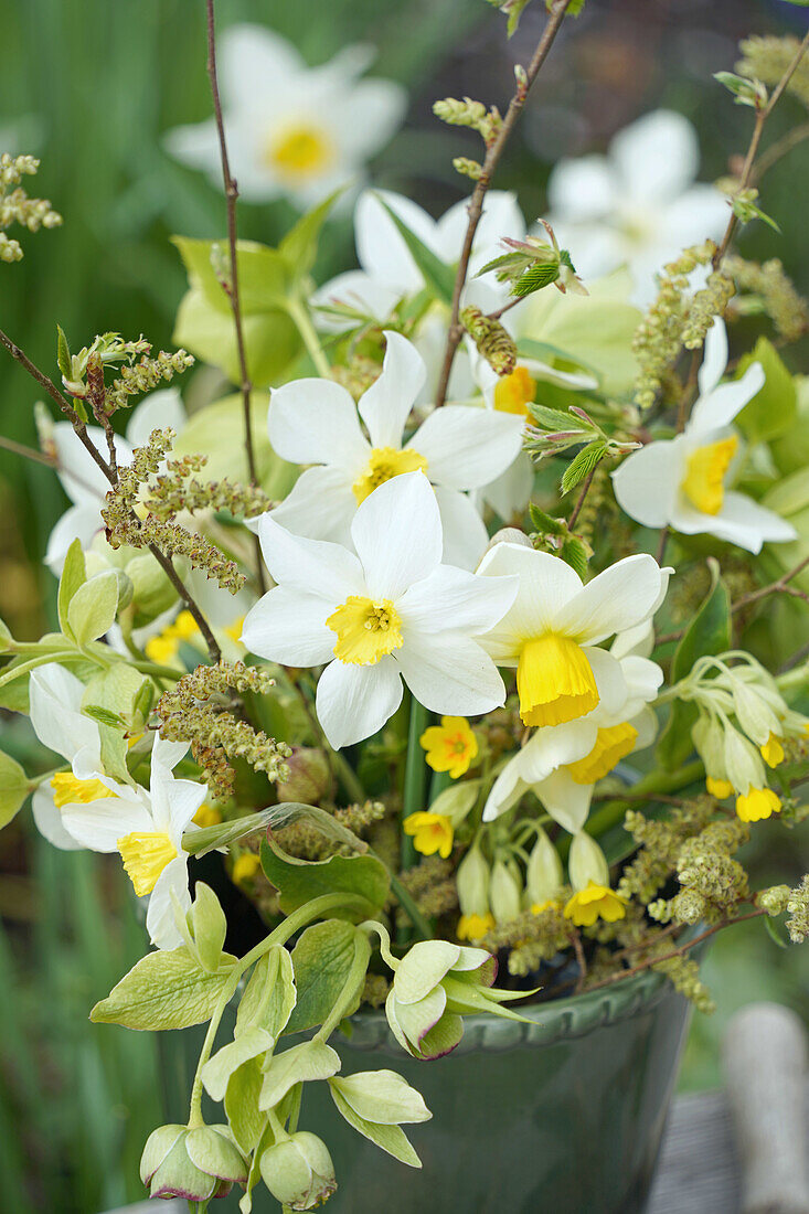 Strauß mit Narzissen (Narcissus) und Frühlingsgrün in grünem Übertopf