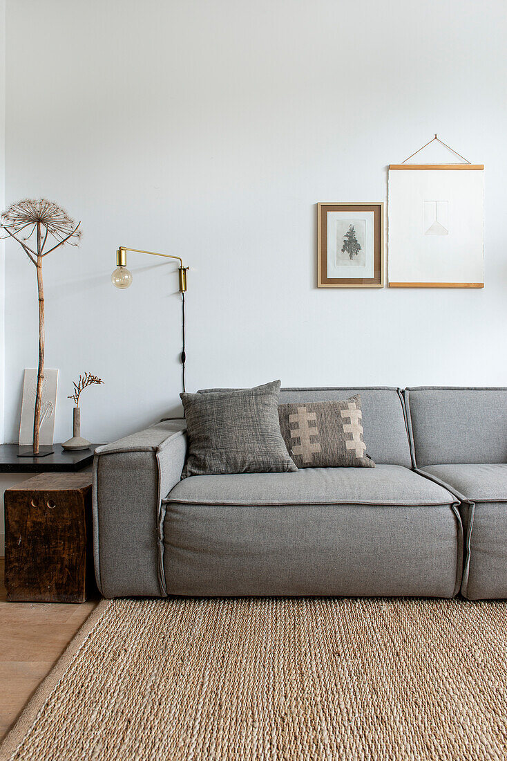 Minimalist living room with grey sofa