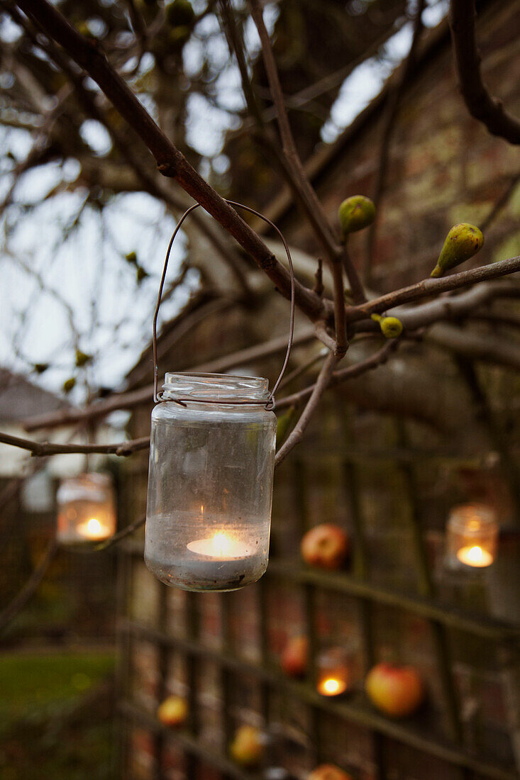 Teelichter in Marmeladengläsern an Bäumen hängend, beleuchten den nächtlichen Garten
