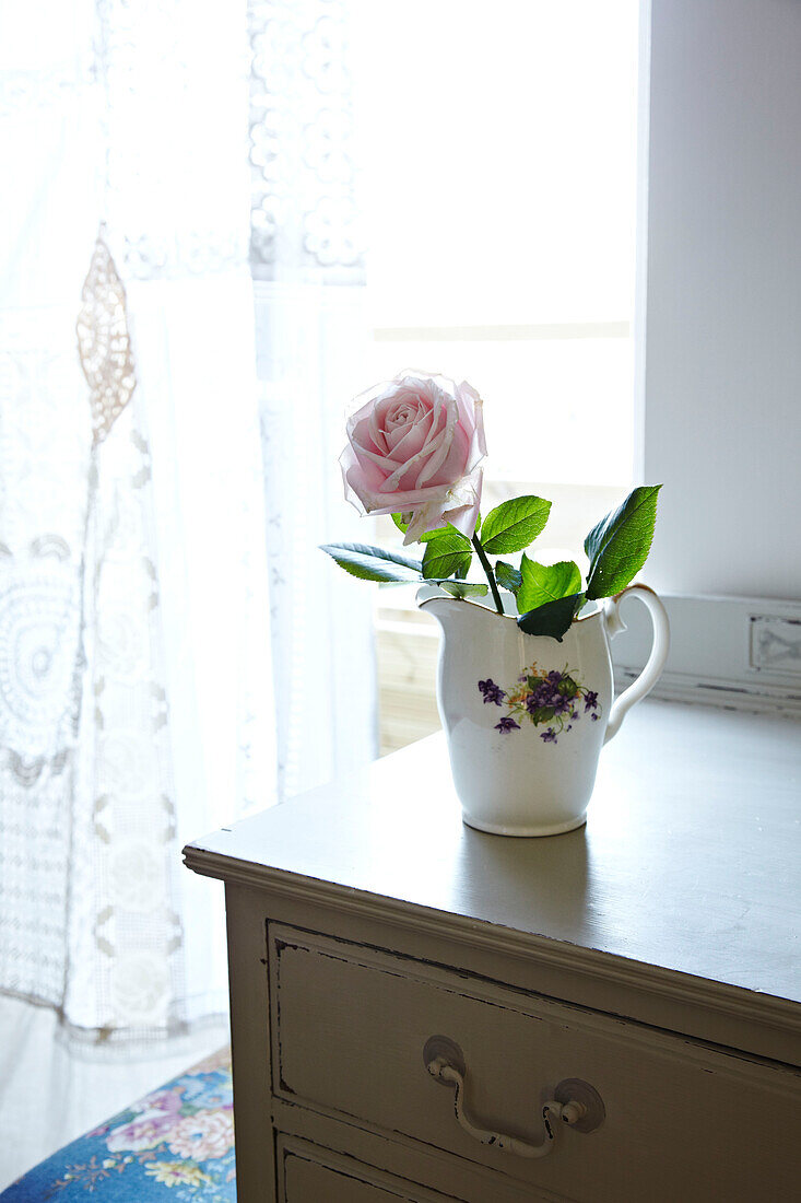Einstämmige Rose in einem Krug auf einer Anrichte mit Gardinen in einem Haus in Brighton, East Sussex, England, UK