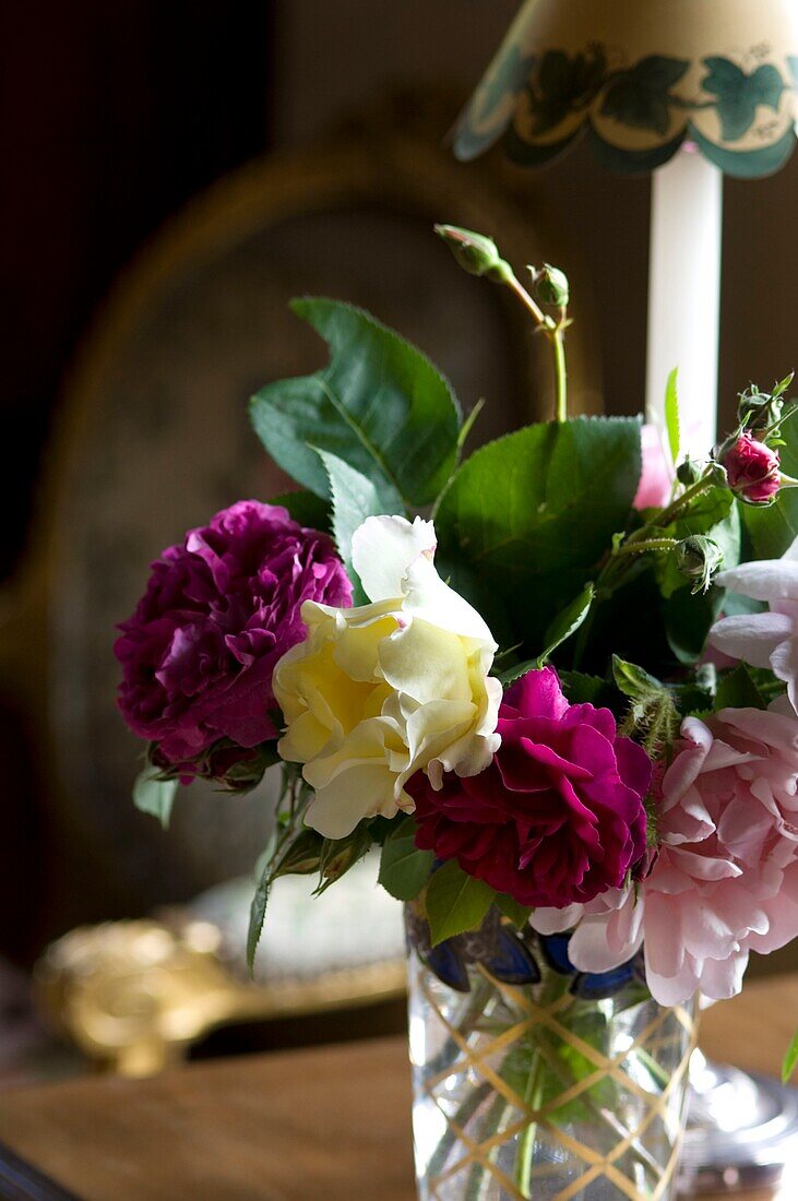 Nahaufnahme von Blumen in Vase