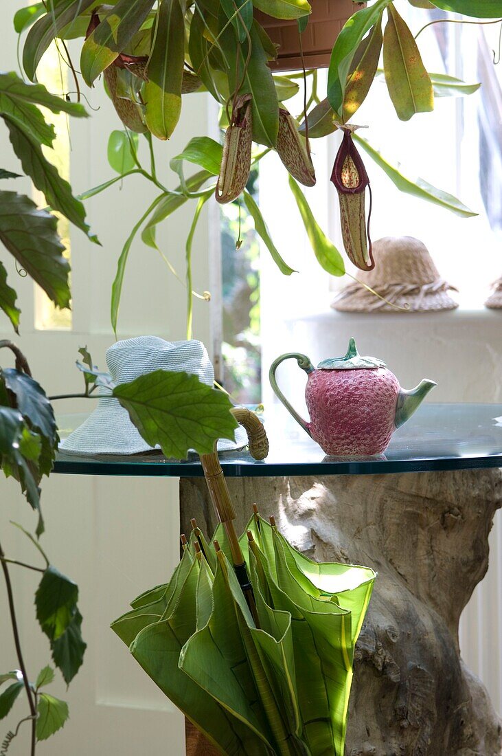 Teekanne auf Glastisch mit Schirm und Pflanzen drumherum
