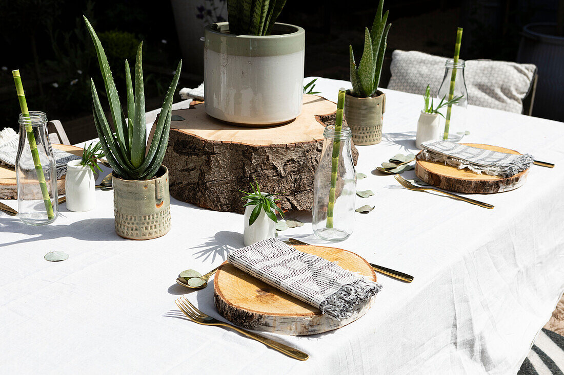 Log discs as place mats with bronze cutlery and succulents on table in Colchester garden Essex UK