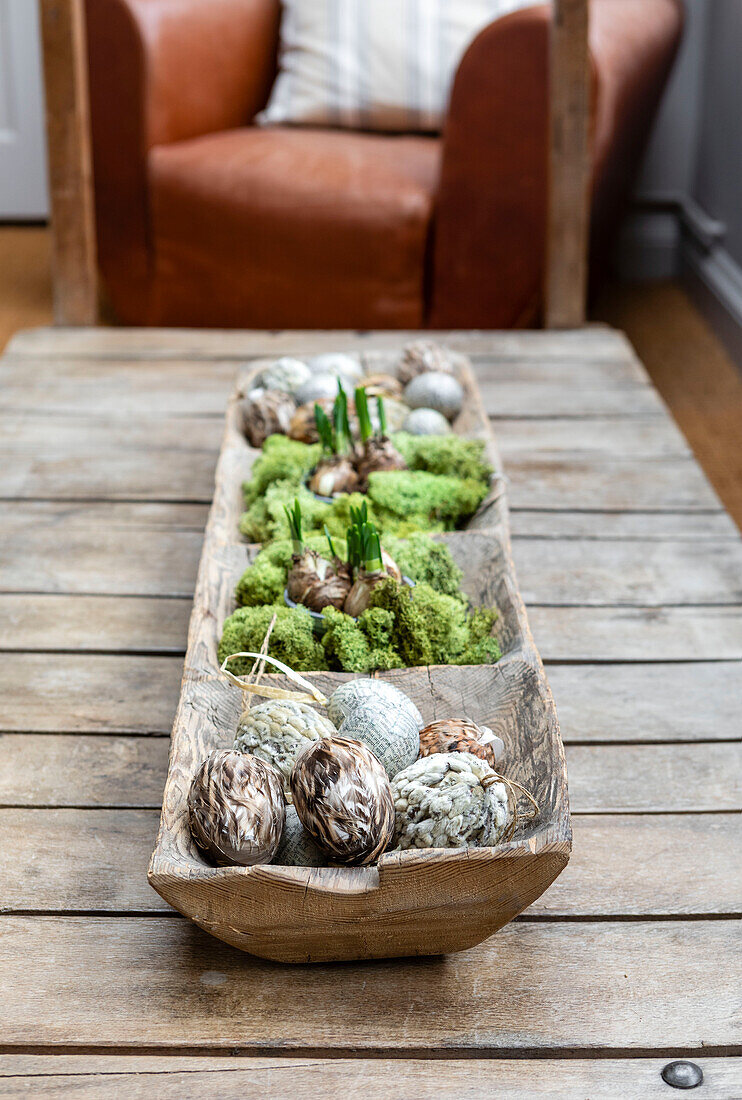 Spring bulbs and Easter ornaments on low coffee table Woodbridge Suffolk UK