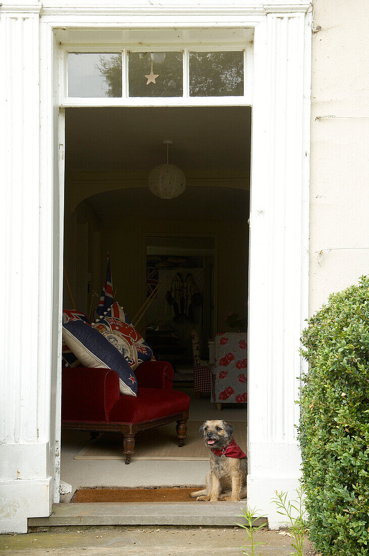 Dog sitting on doorstep to Suffolk home, England, UK