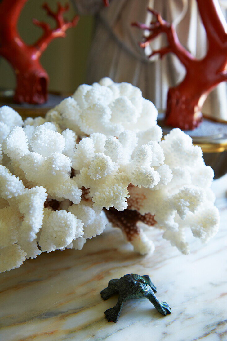 Getrocknete Koralle mit Frosch-Ornament in einem Haus in Massachusetts, Neuengland, USA