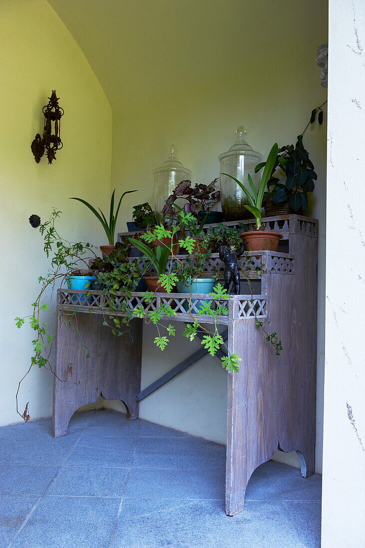Hölzerner Pflanzenständer in einem Haus in Massachusetts, Neuengland, USA