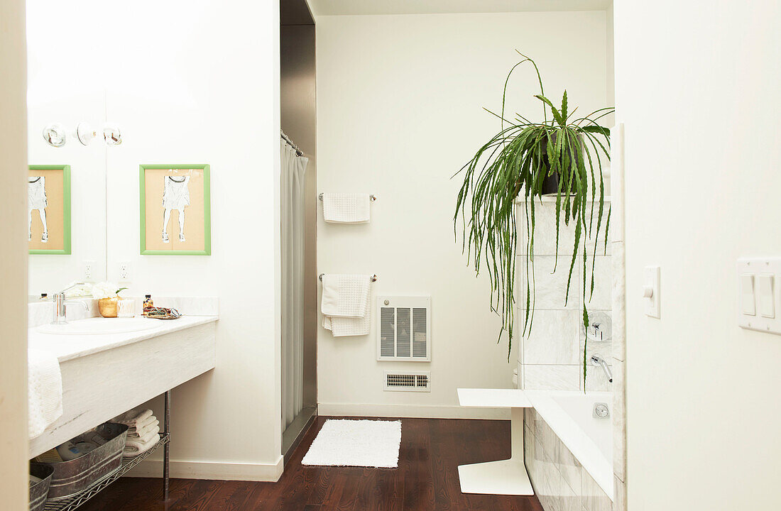 Zimmerpflanze im weißen Badezimmer eines Hauses in Sheffield, Berkshire County, Massachusetts, Vereinigte Staaten