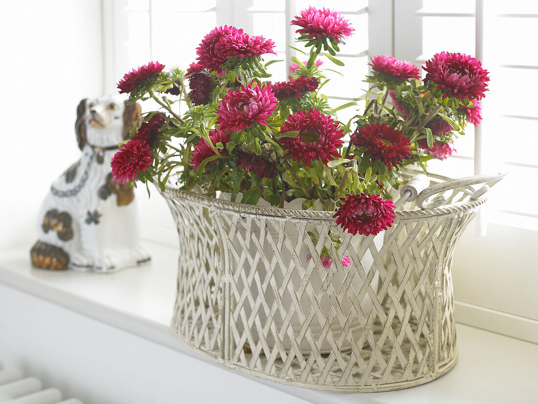 Pink houseplant in metal basket on windowsill with figurine of dog in Hampshire farmhouse, England, UK