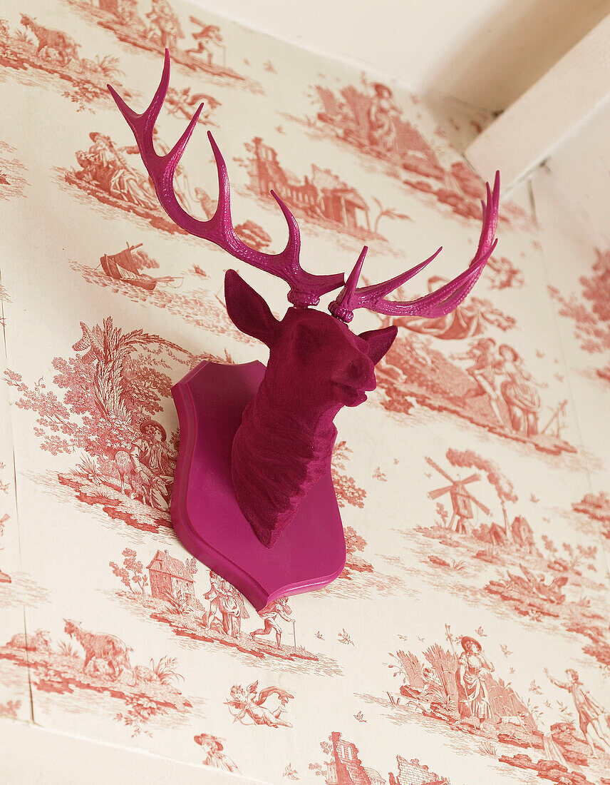 Pink deers head mounted on Toile de Jouy wallpaper in Welsh cottage, UK
