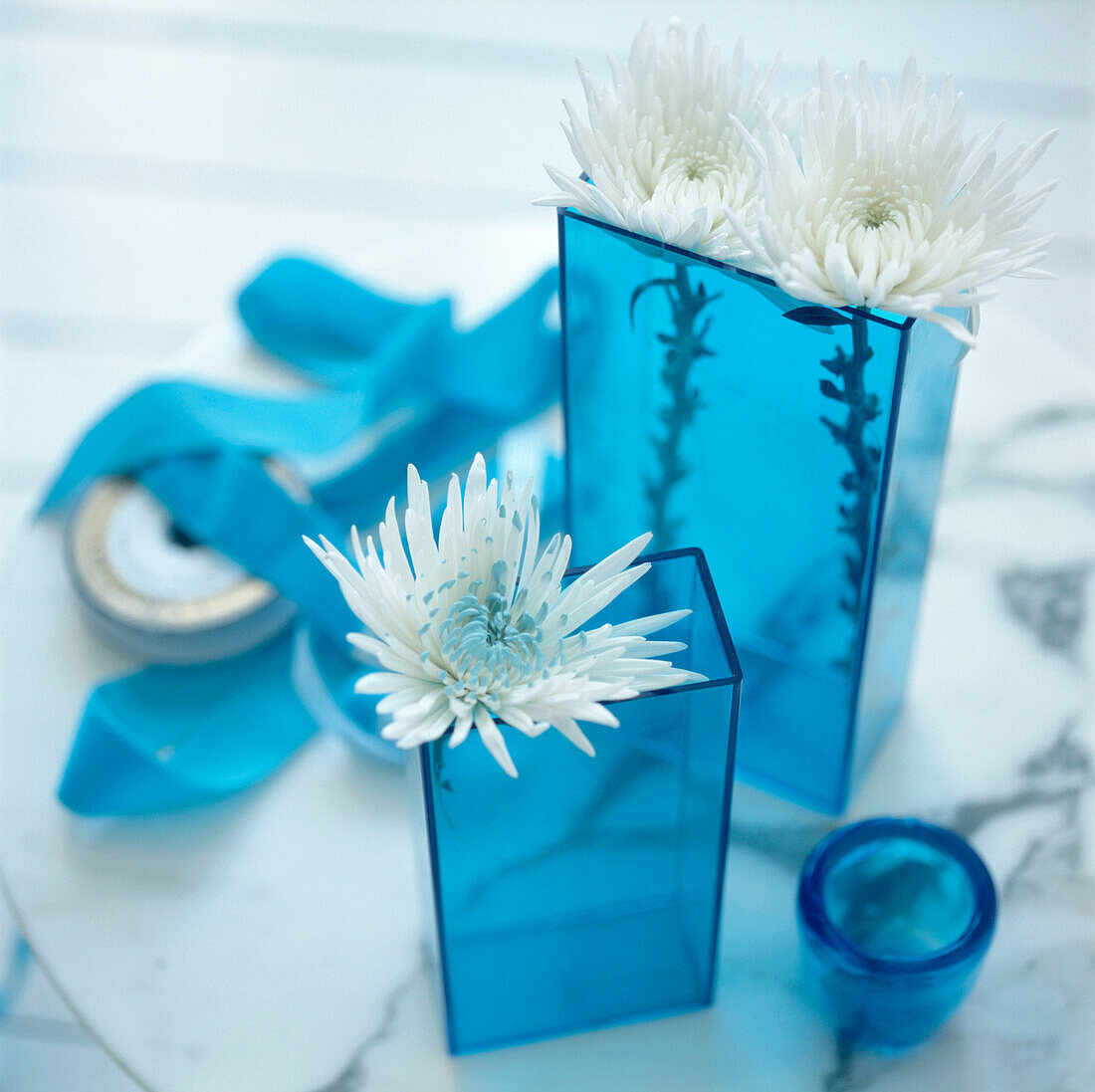 Detail von türkisblauen Glasvasen mit weißen Chrysanthemenblüten