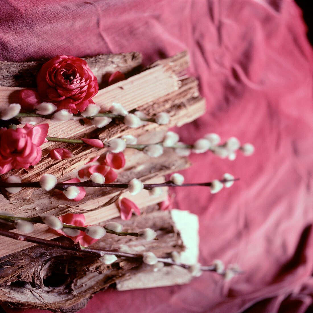 Holzscheite mit Palmkätzchen und rosa Blumen auf rosa Samtstoff