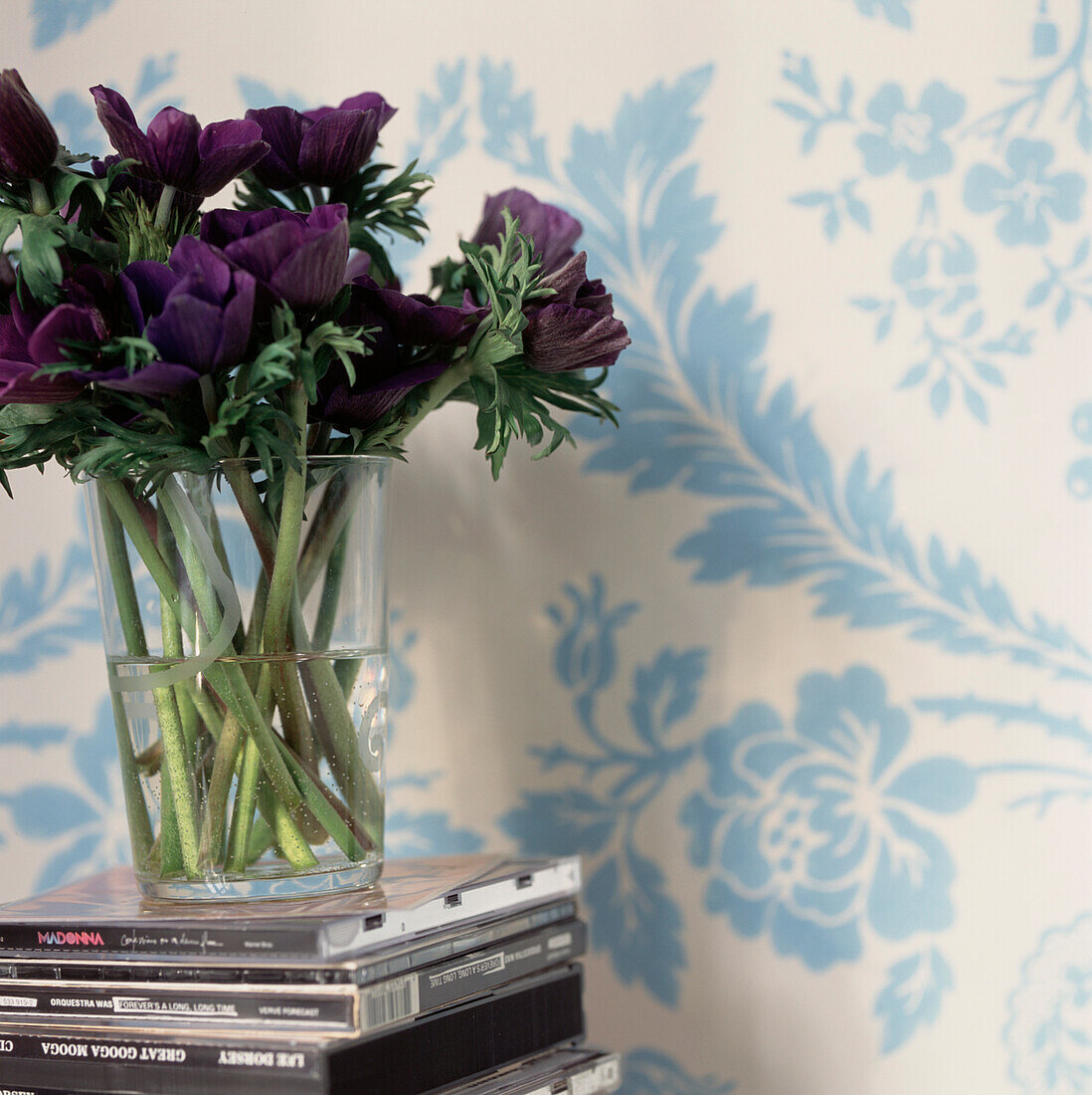 Detail eines Blumenarrangements in einer Glasvase, die auf einem Stapel CDs ruht, mit blau-weißer Blumentapete an den Wänden