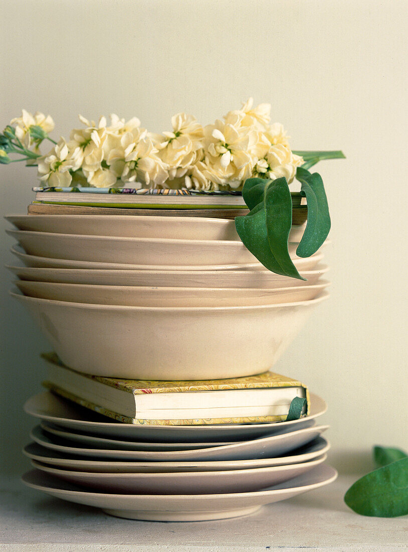 A stack of tableware with a sprig of flowers