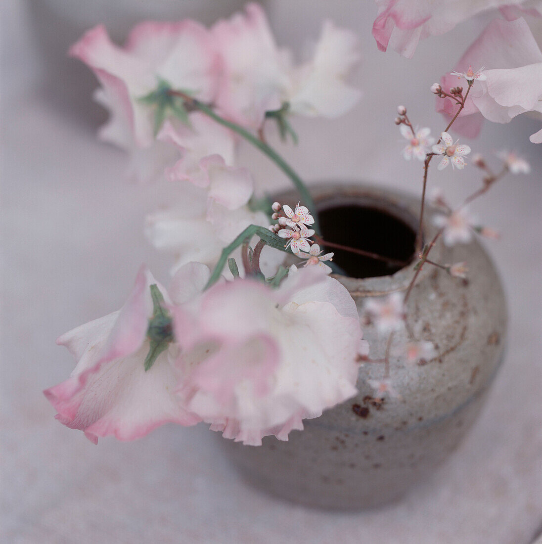 Detail einer Blumenauslage in einer Vase mit rosa Erbsen und Wildblumen