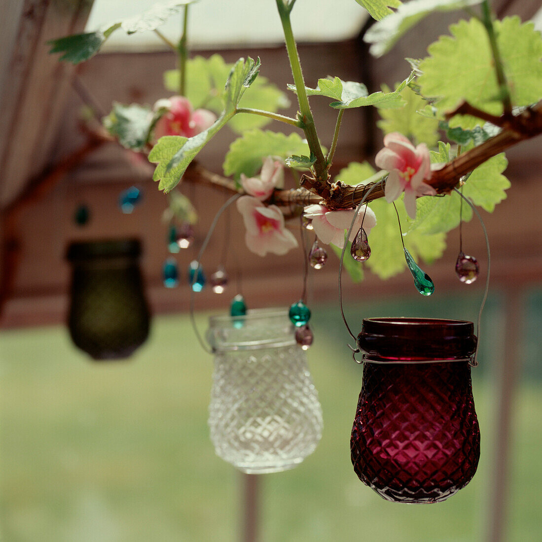 Three coloured glass candle holders hanging from vine branches in a summerhouse