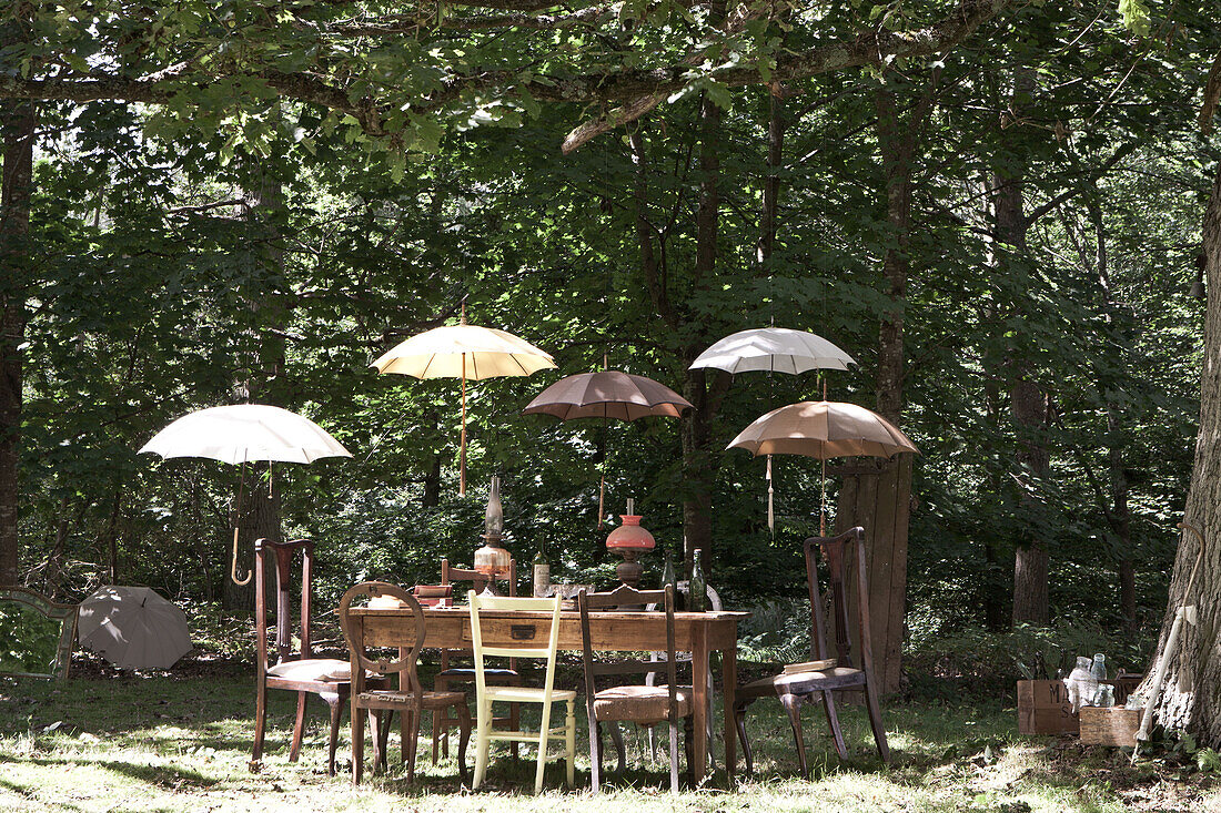 Parasols shading table and chairs in woodland garden, UK