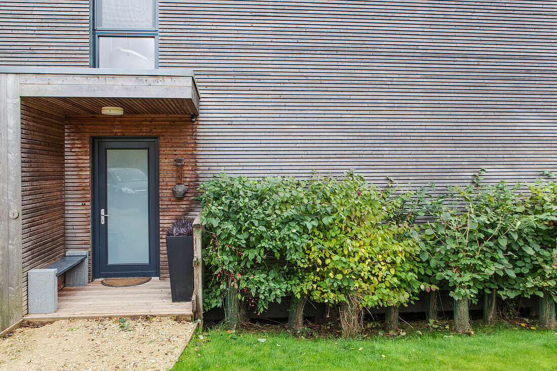 Vereiste Tür in Veranda mit Sträuchern an der Außenseite eines Hauses in Lakes, England, UK