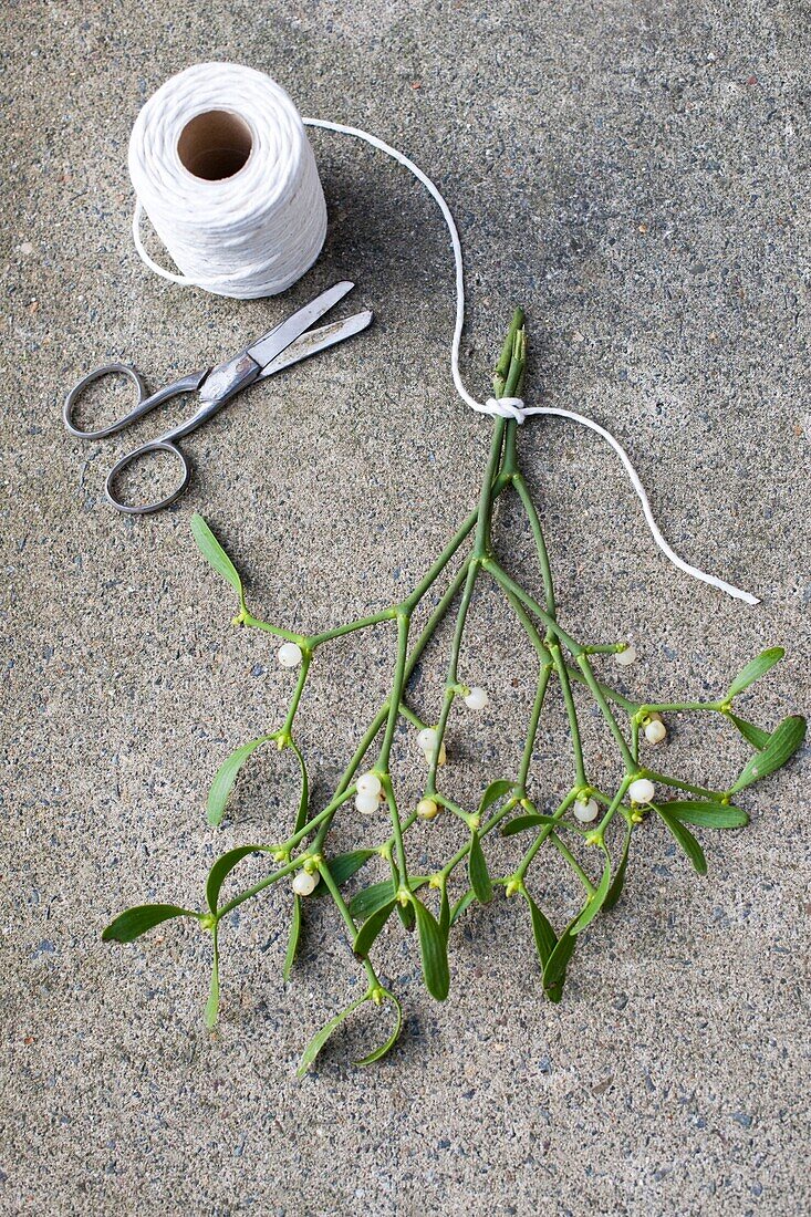 Mistletoe and scissors with string, UK