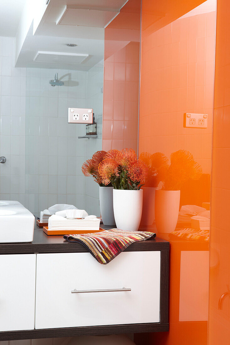 Vertieftes Badezimmerdetail in einer Wohnung in Sydney Australien