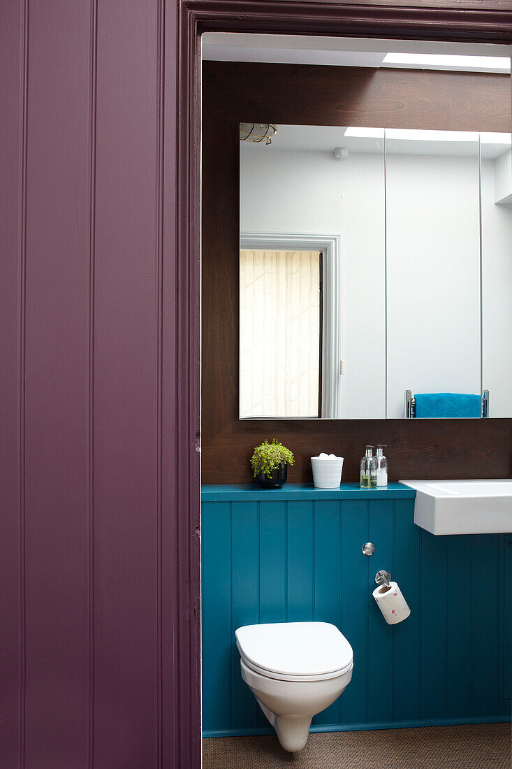 Badezimmerdetail mit kontrastierendem Anstrich in einem modernen Haus in Bristol, England, Vereinigtes Königreich