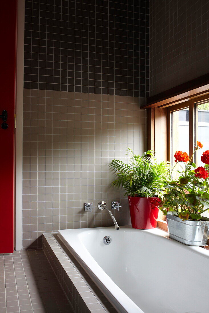 Houseplants at window of sunken bath surround in contemporary new-build Isle of Wight home
