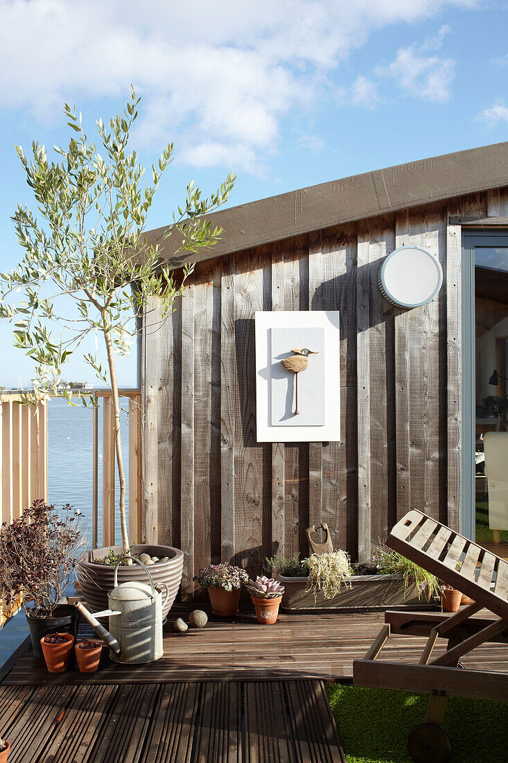 Olivenbaum und Gießkanne mit Kunstwerk auf dem Deck eines Hausboots in Bembridge, Isle of Wight, UK