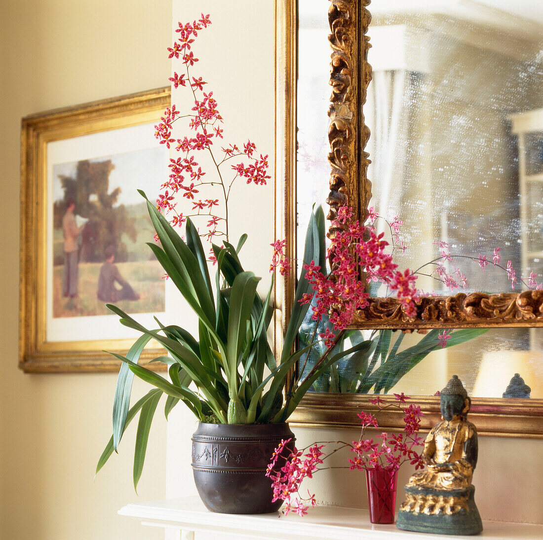 Hübsche rosafarbene Orchideen auf einem Kaminsims mit verziertem vergoldetem Spiegel und Buddha