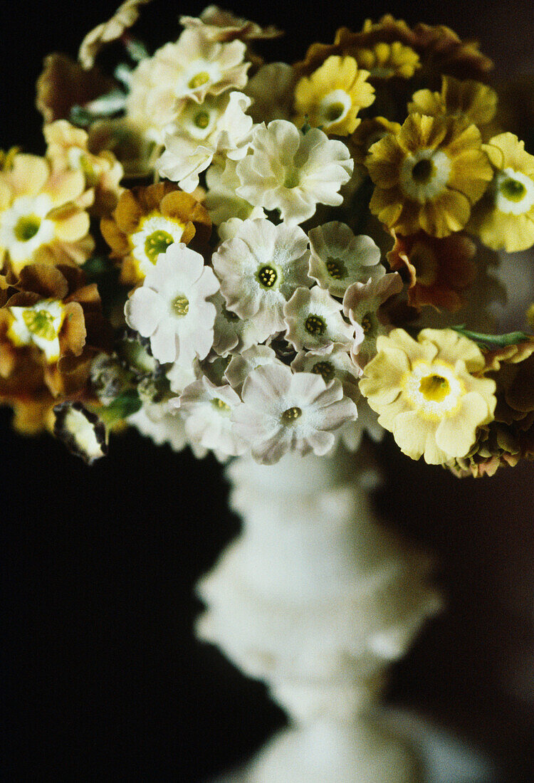 Detail eines Blumenstraußes aus Aurikeln in einer Steinvase