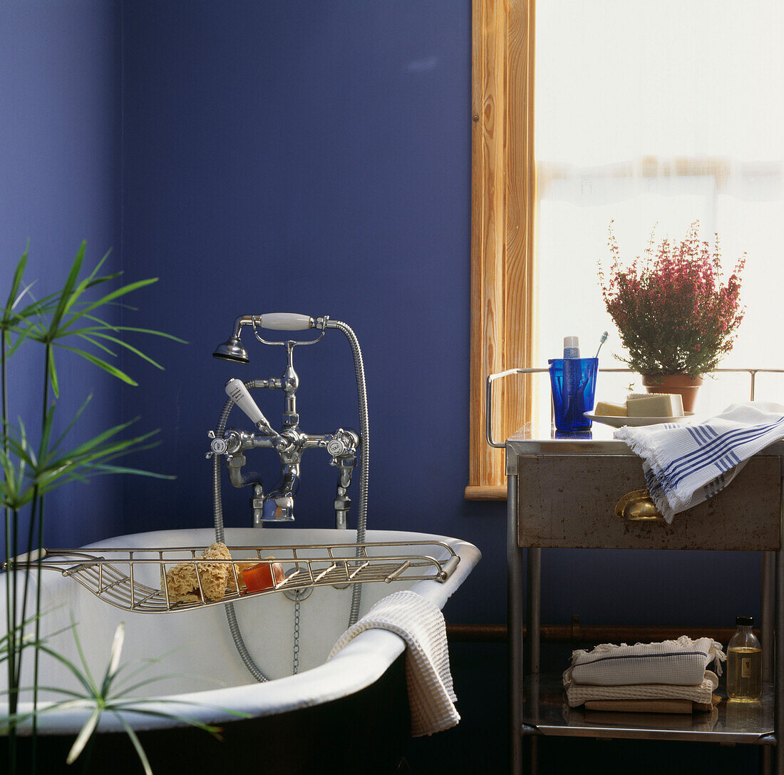 Blue bathroom with roll top bath and metal cabinet with potted heather and toiletries