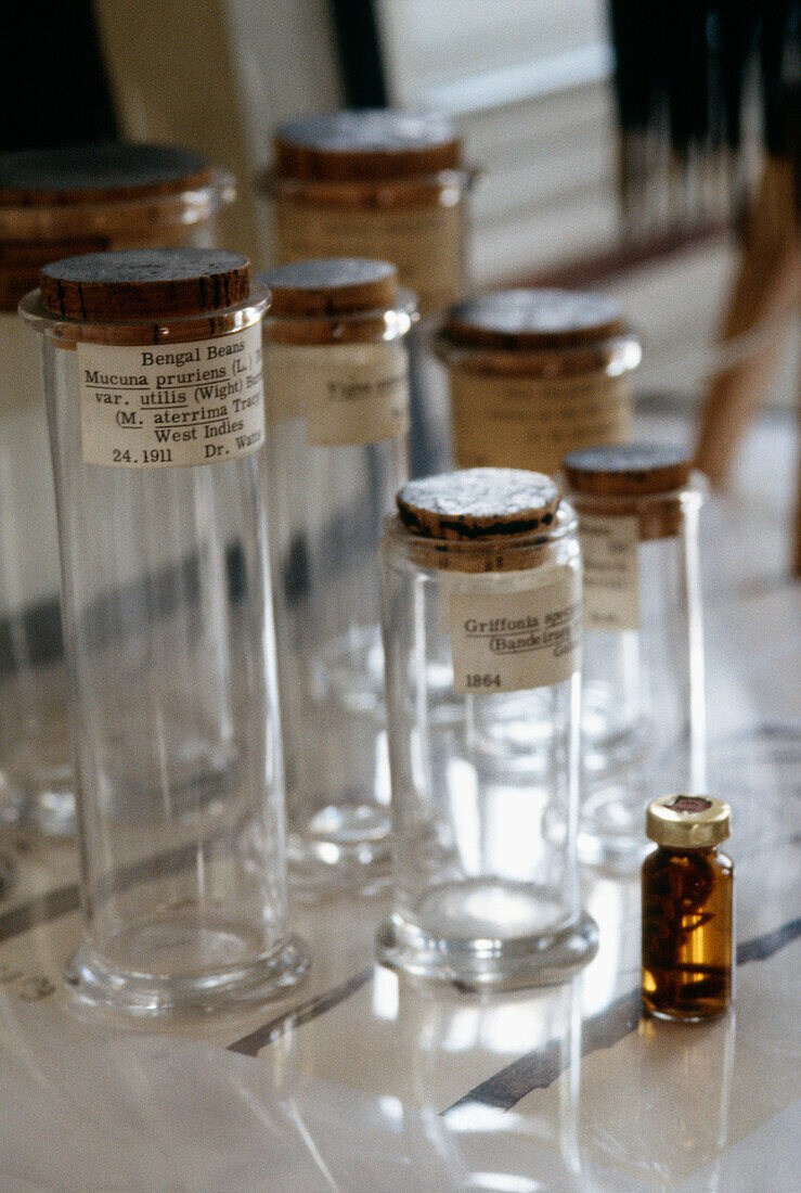 Group of vintage glass botanic collection jars with cork stoppers and typed labels