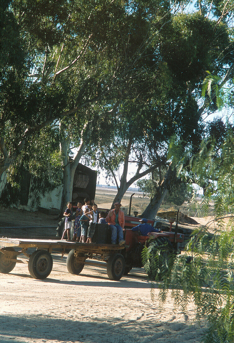 Tractor in farmyard
