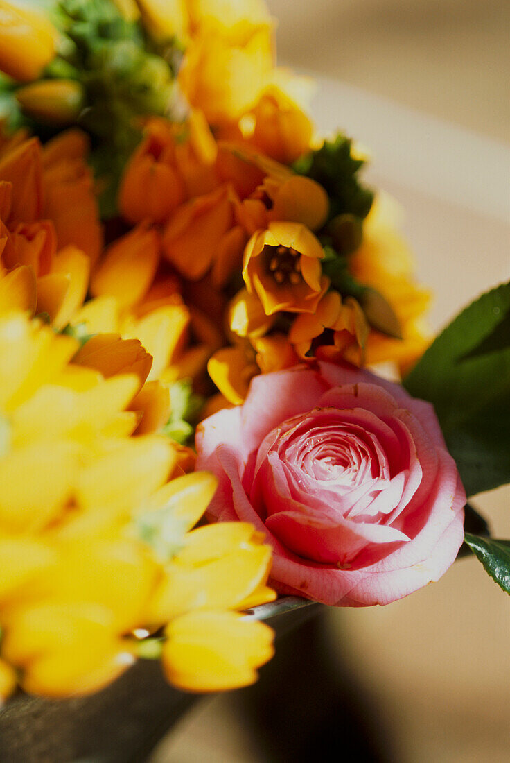 Close-up of floral arrangement