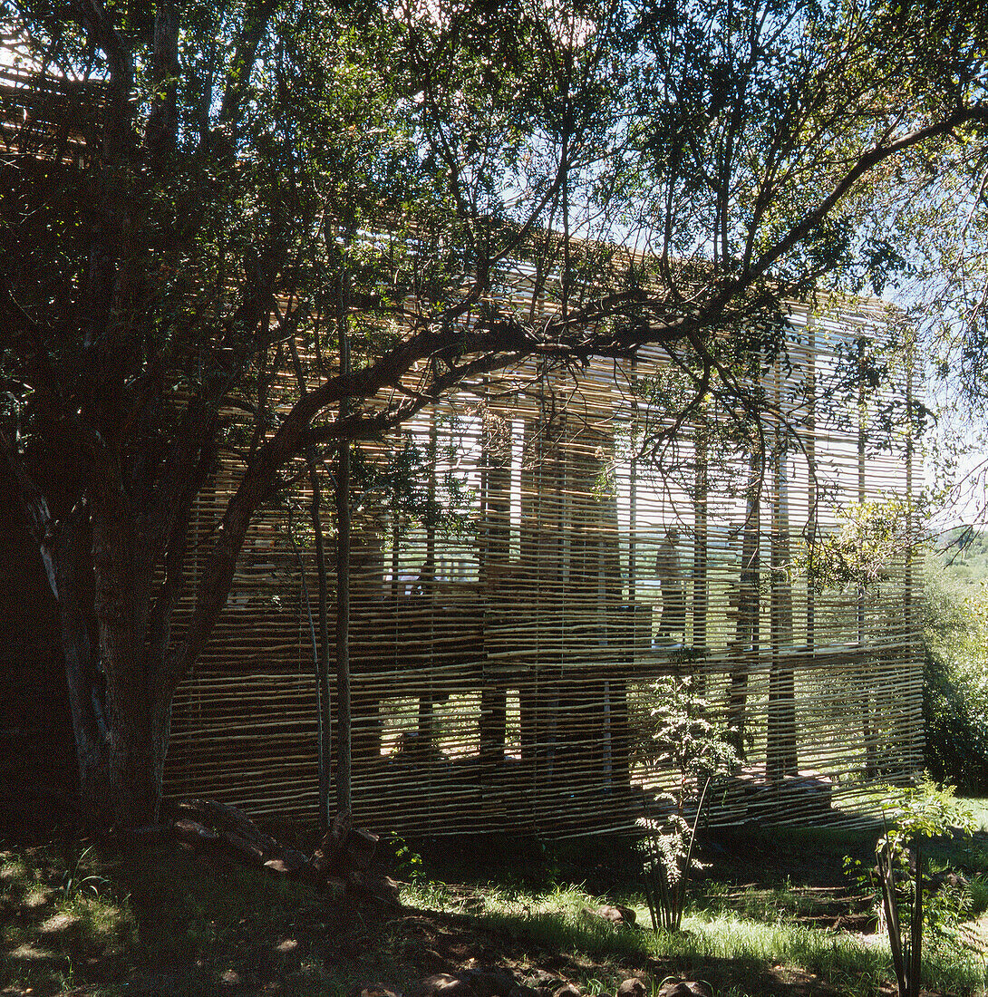 Blick auf den Wald vor der Lodge
