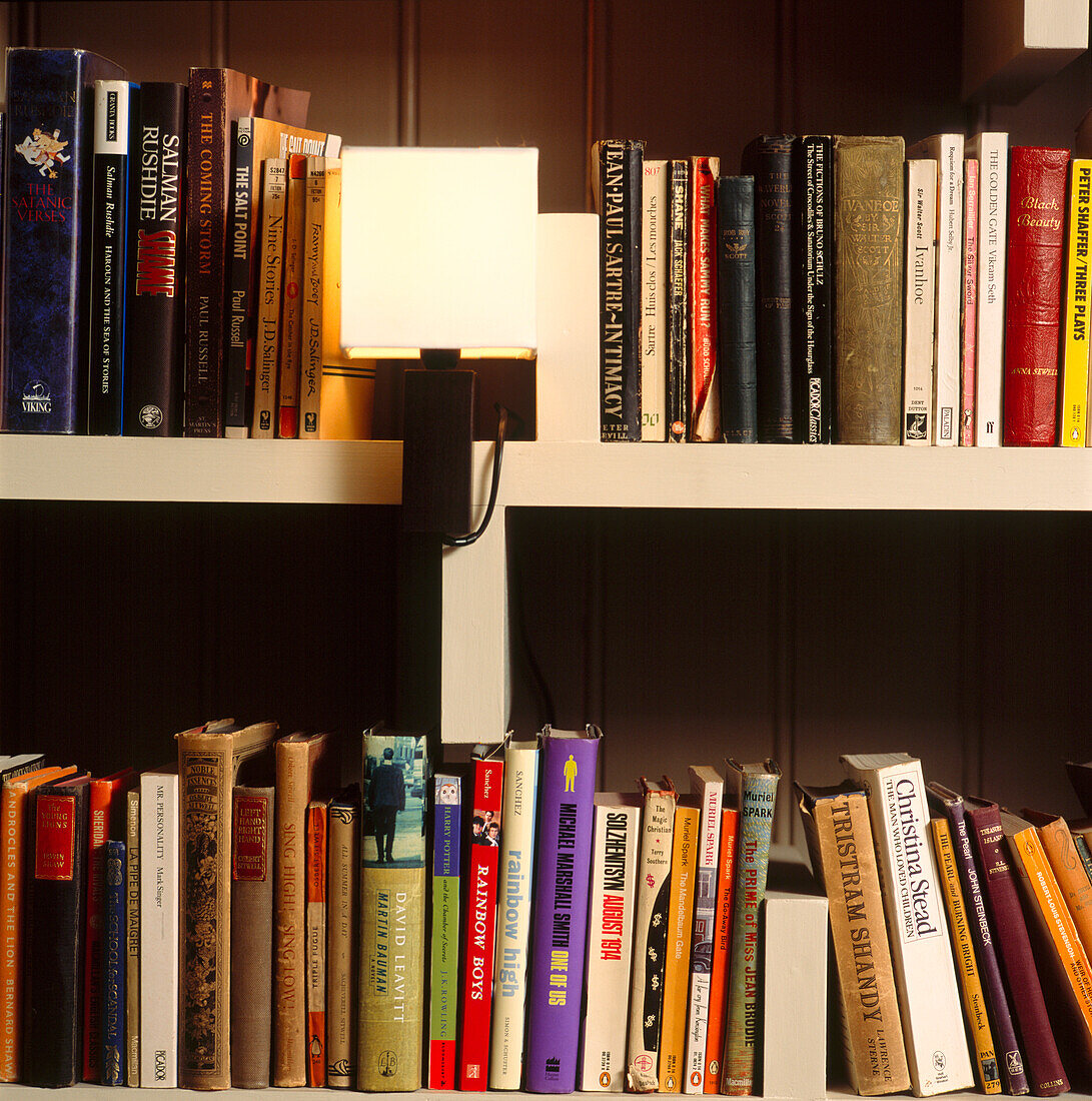 Bücherregal mit moderner Klemmleuchte
