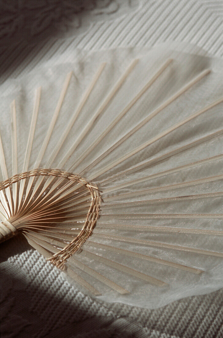 Detail eines Handfächers im orientalischen Stil